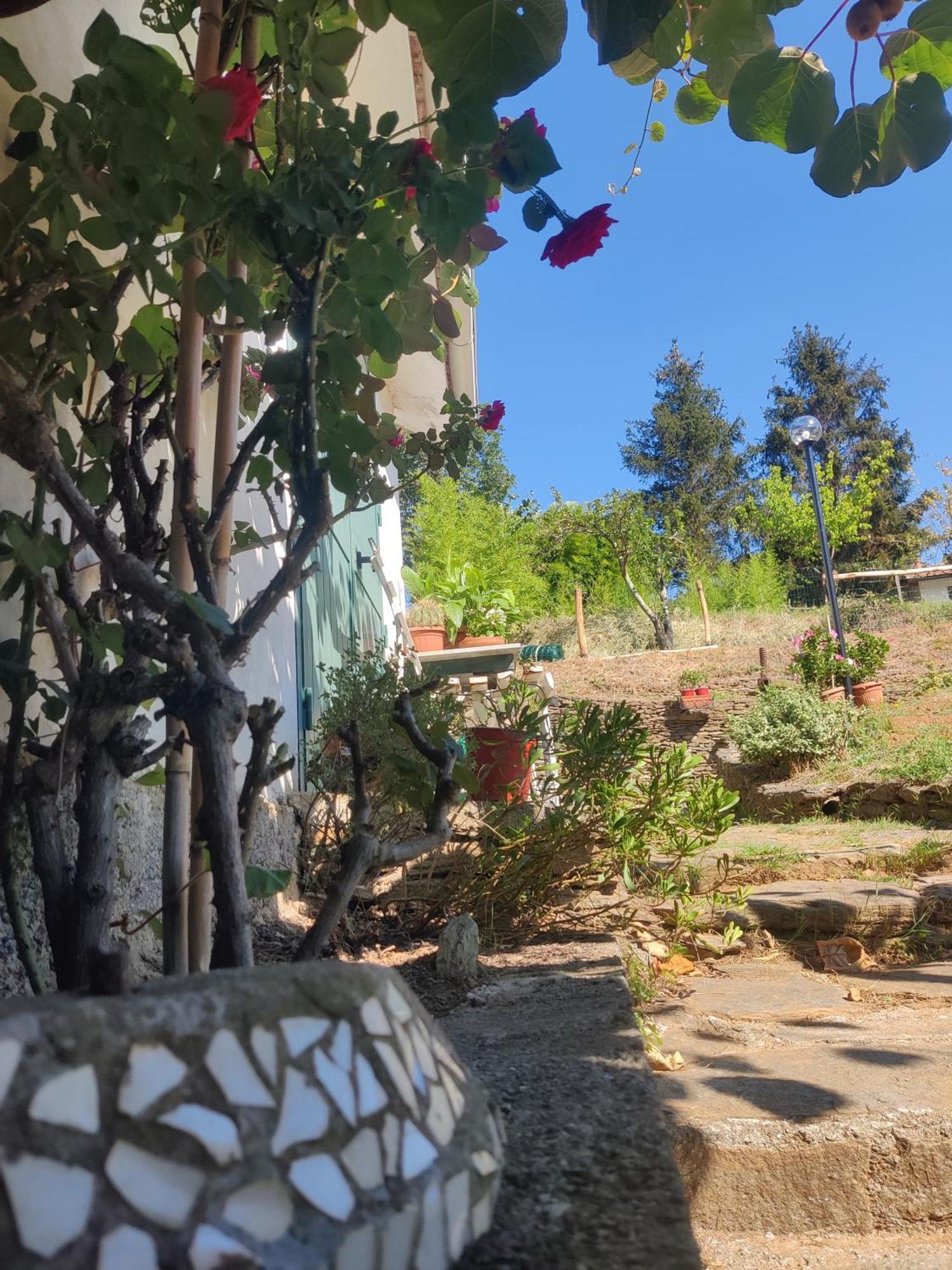 דירות Stella Casa Bartola מראה חיצוני תמונה