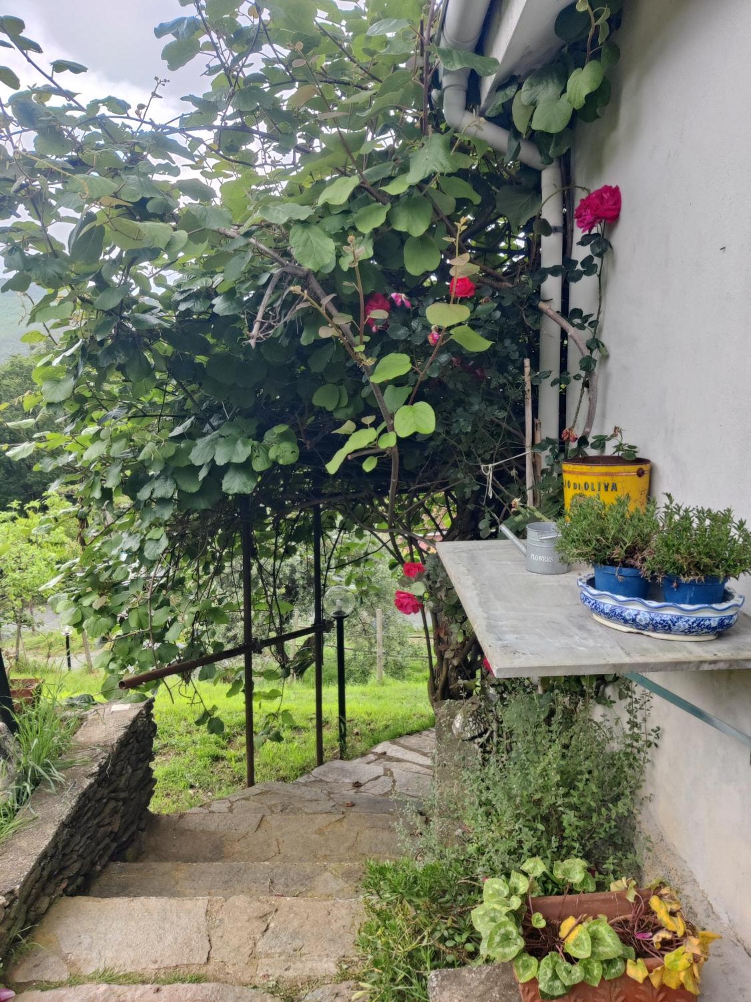 דירות Stella Casa Bartola חדר תמונה